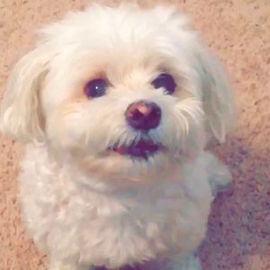 Meet your Posher, Gary